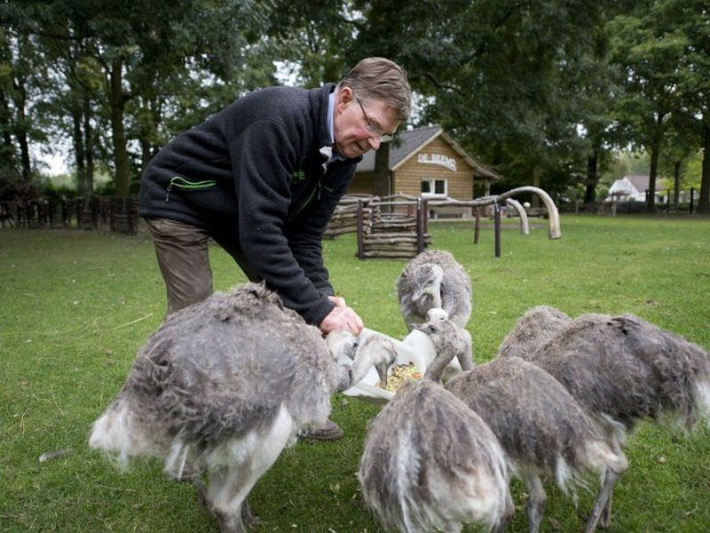 dierenpark De Beemd Pinterest