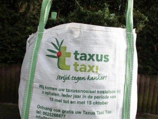 Taxus taxi