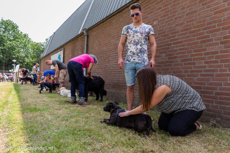 4 juni honden doe dag 9