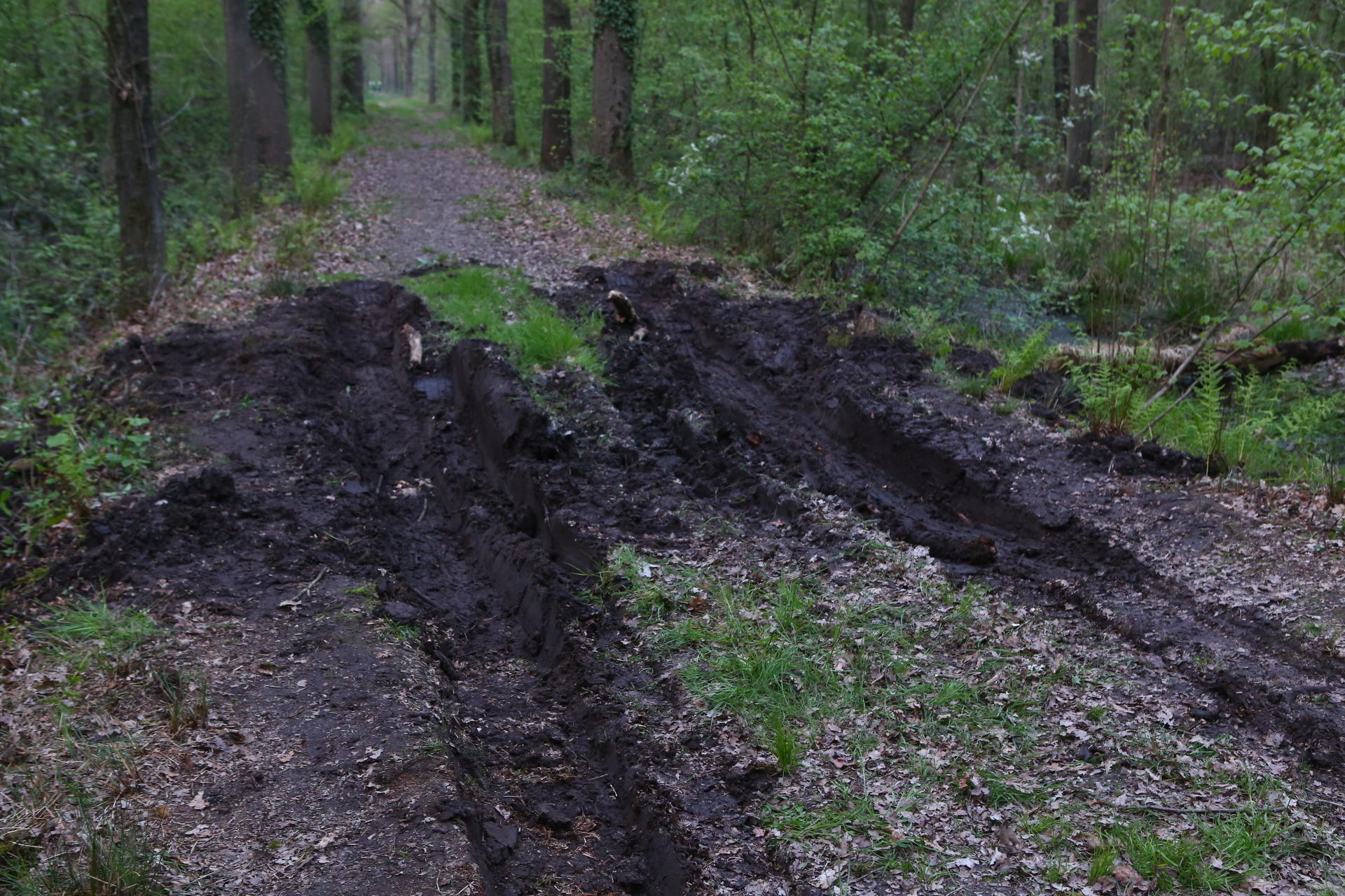 brand natuur1