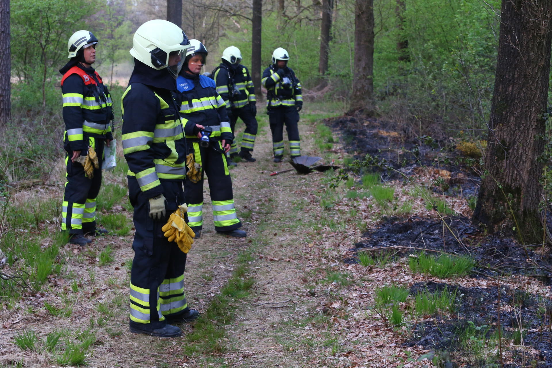 brand natuur4