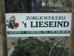 zorgkwkerij Lieseind