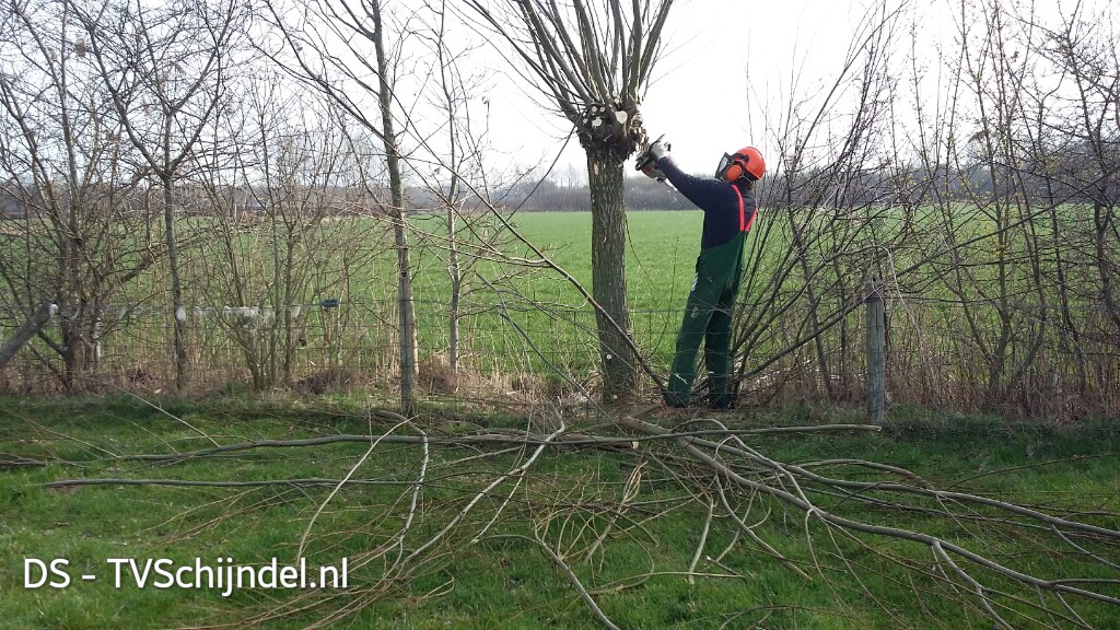 NL Doet wilgen 1