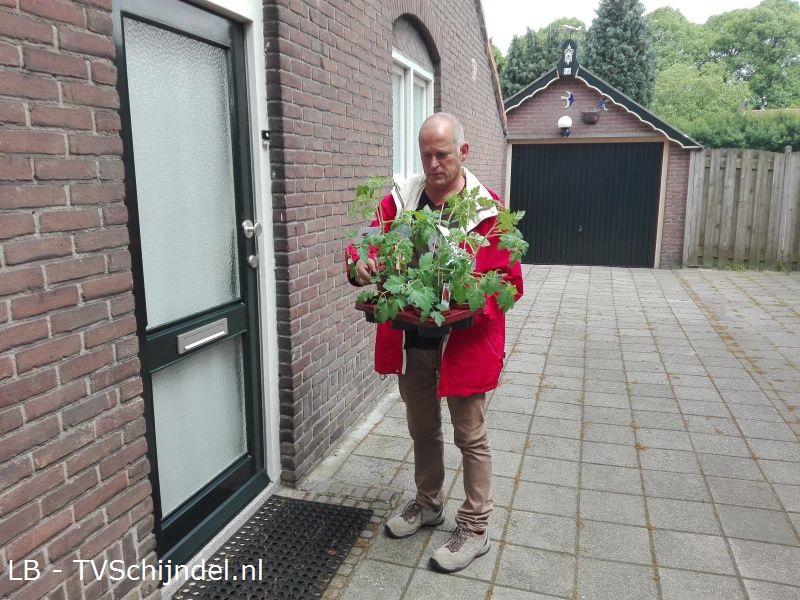 bloemetjes2