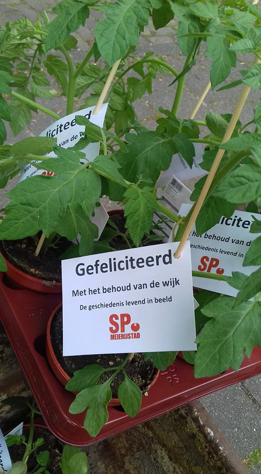 bloemetjes SP1