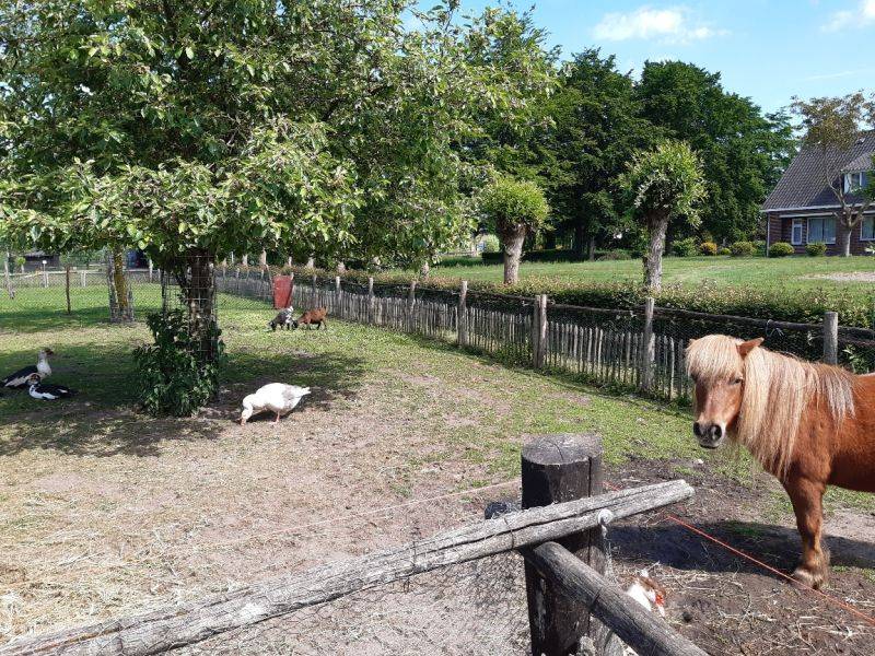zorgboerderijheesdonk2
