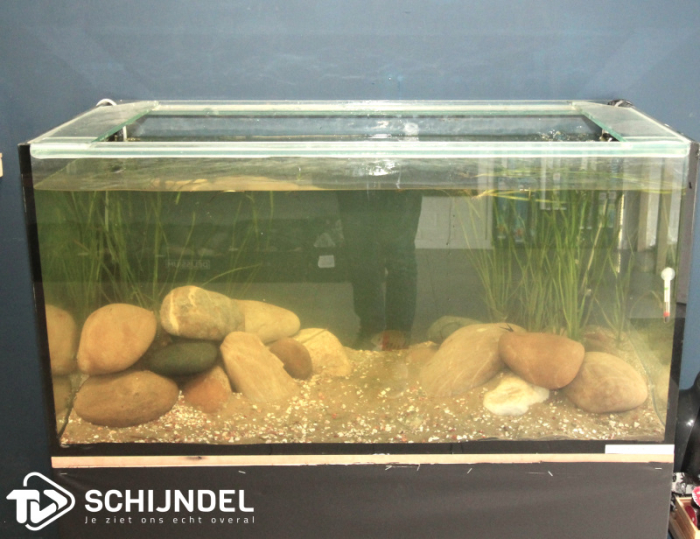 Opening Aqua Schijndel - specialist zoetwateraquariums