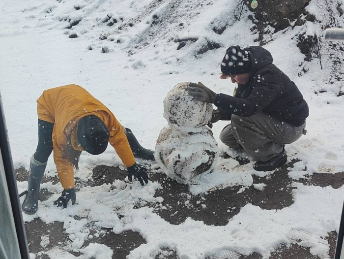 Schijndel in de sneeuw, veel sneeuwpoppen en dieren in witte wereld
