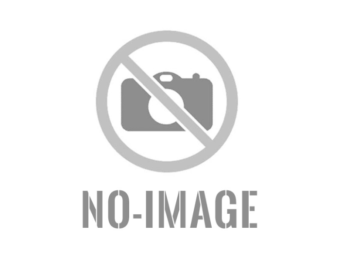 Jeugdoptocht Schorbbos: Weppus ging vol vur Goud! (video & fotoboek)