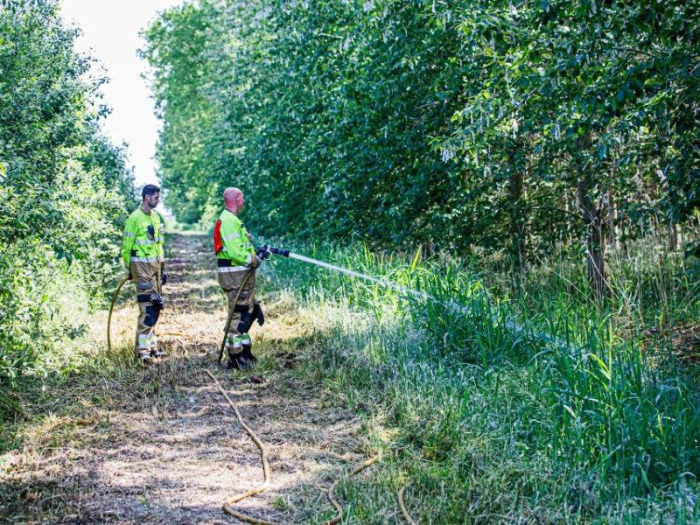 Brandweer schaalt groot op bij meerdere bermbrandjes