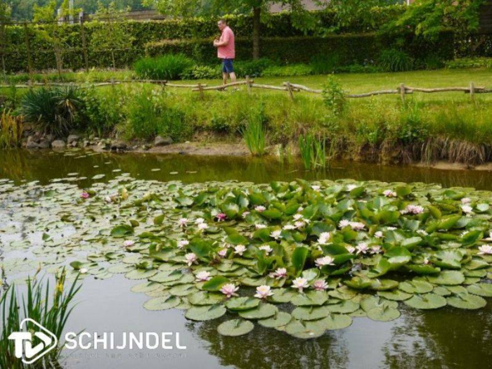 Gezellige drukte bij Zorgboerderij de Heesdonck(fotoboek)