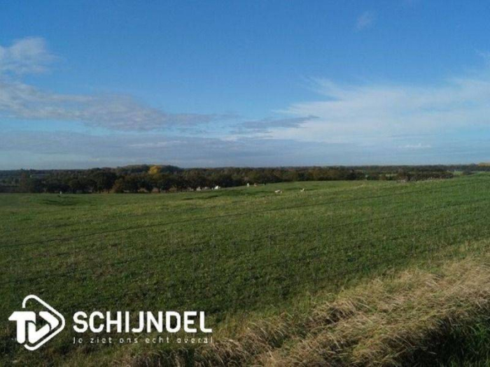 Vanaf middernacht: code rood vanwege de hitte