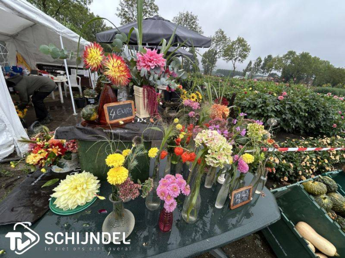 Open dag Tuinvereniging Arcadia 