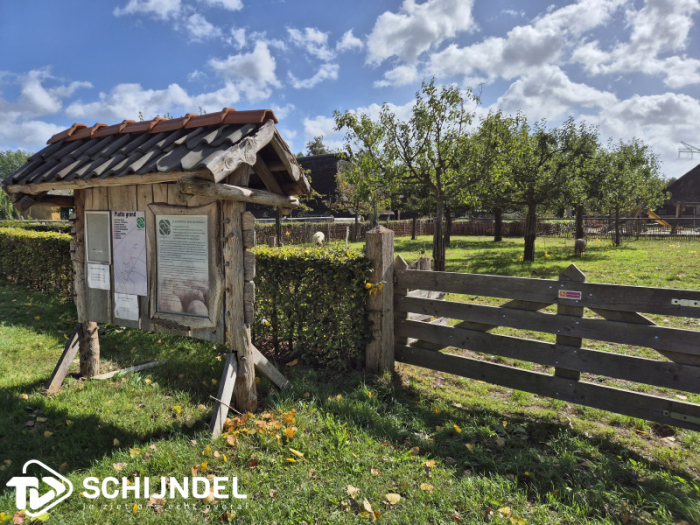 Vrienden en familiedag in het Groene Woud, bij de Schaapskooi