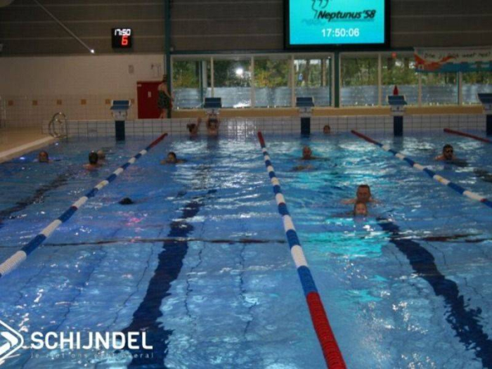 51e Schijndelse zwemvierdaagse wederom een succes