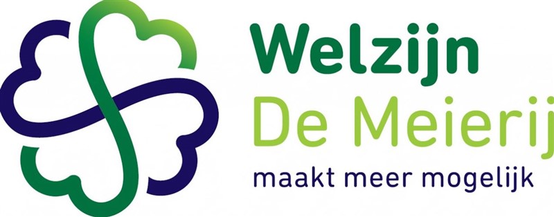 welzijndemeierijresize