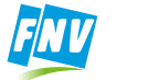 logo fnv