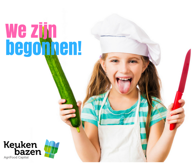 Keukenbazen2018wijzijnbegonnen