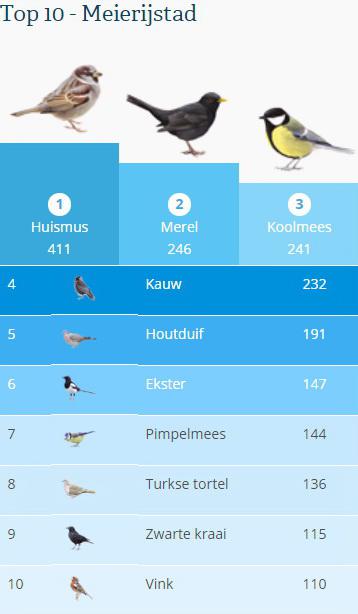 Top10meierijstad2017