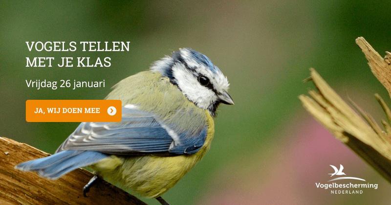 vogelstellenmetjeklas