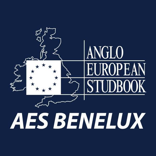 AESBenelux