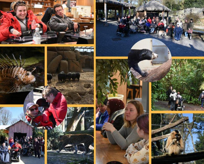 Netstitch collage Burgers Zoo