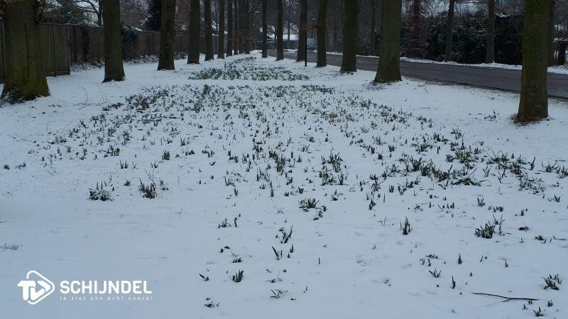 sneeuwmaart0