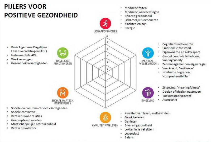 pijlerspositievegezondheid2015