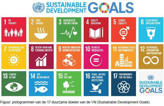 VNsustainabledevelopmentgoals