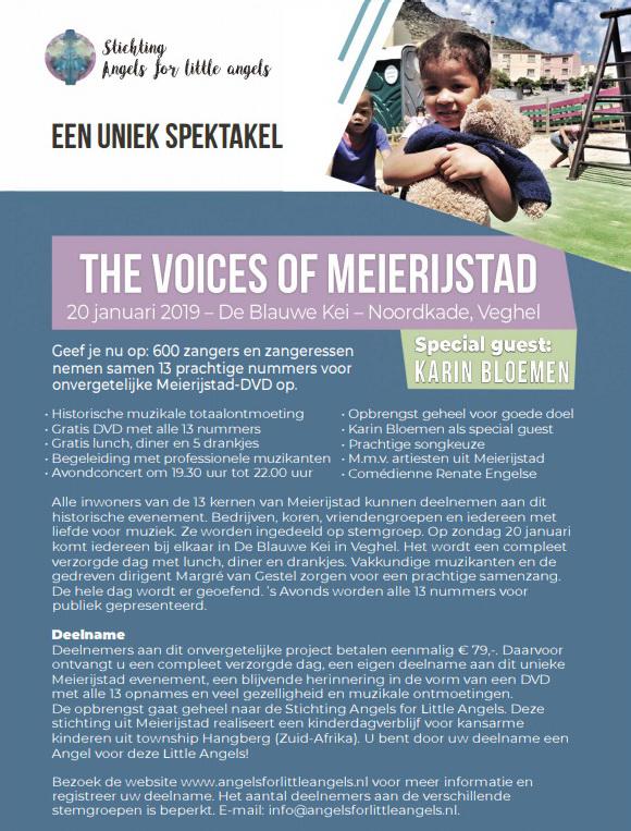 Voicesofmeierijstadflyer