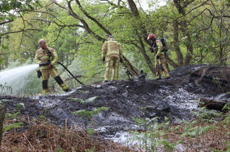 bosbrand sint oedenrode