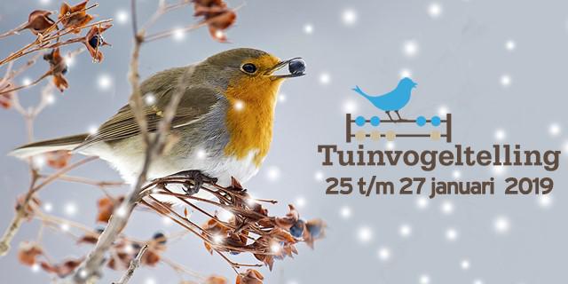 Tuinvogeltellingjan2019