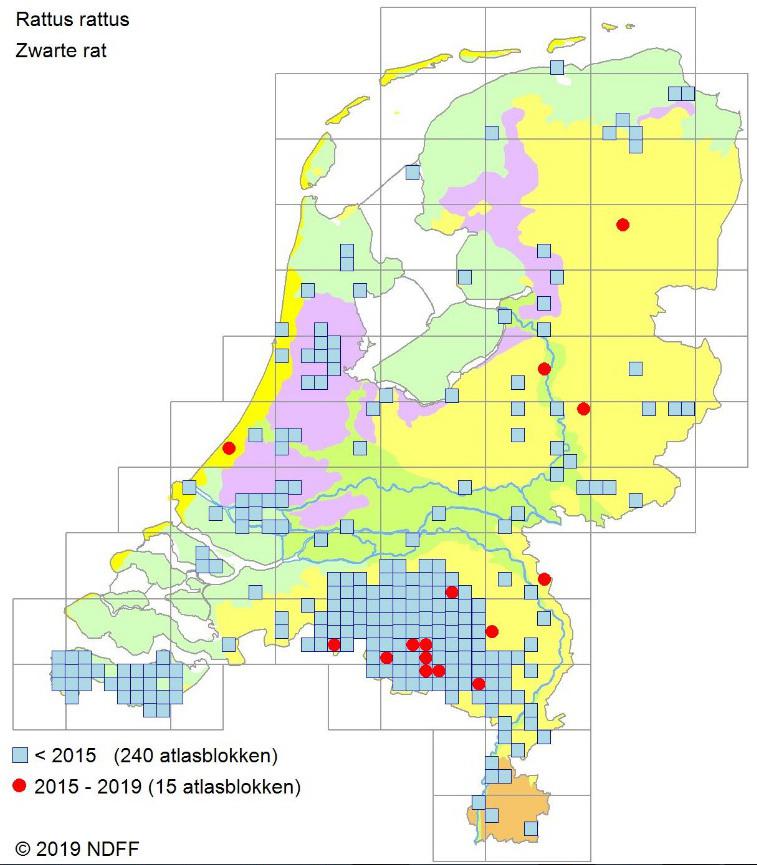Verspreidingzwarteratndffverspreidingsatlas