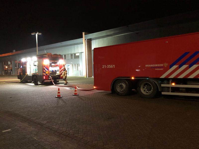 brandheidebloem4