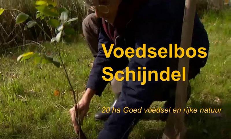 Voedselbosschijndelflyer