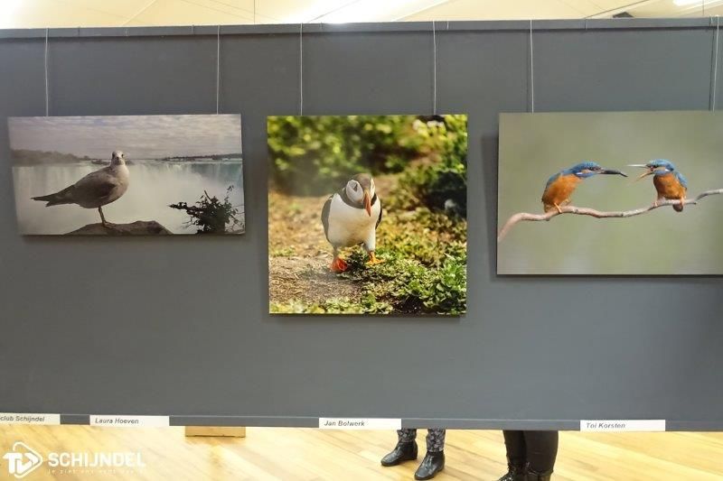 fotoexpositie2