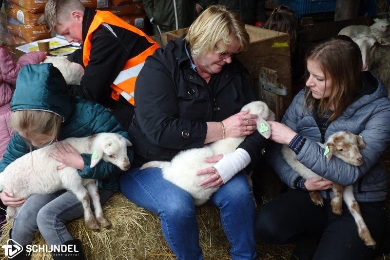 lammetjesknuffelen2020