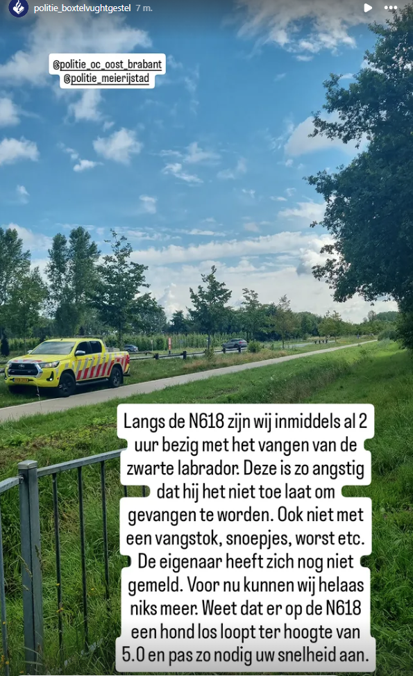 achterstehermalenhond3