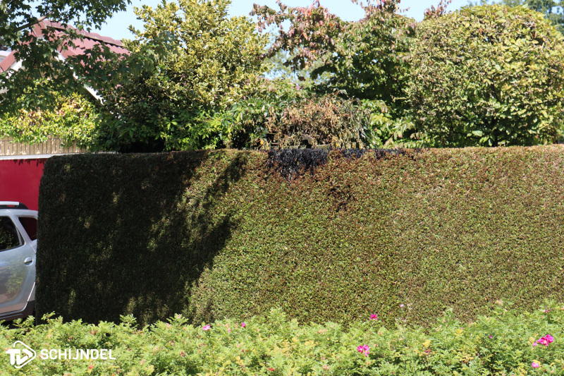 buitenbrandkerkendijk 2