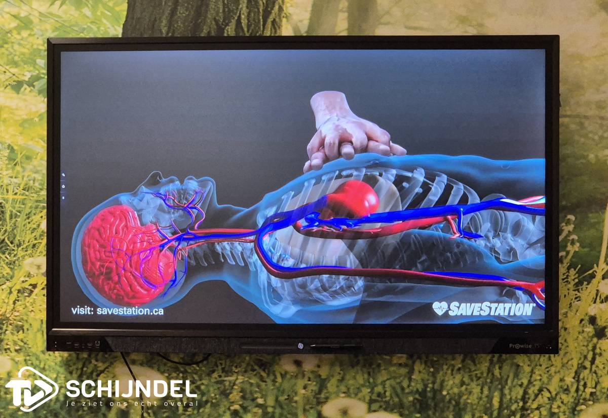 hartsavereanimatiecursus1