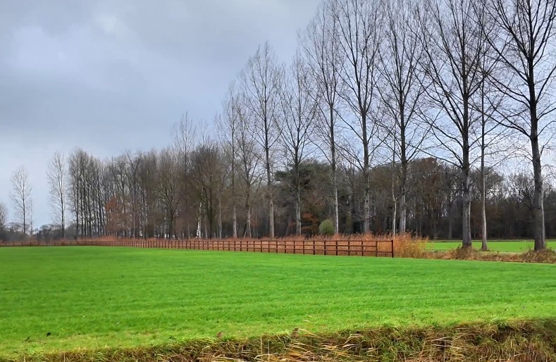 videolokaalwindturbines