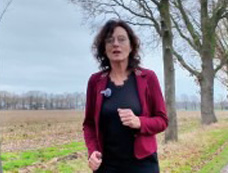 videolokaalzonneparken