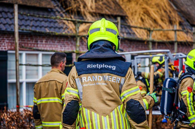 brandsteegb