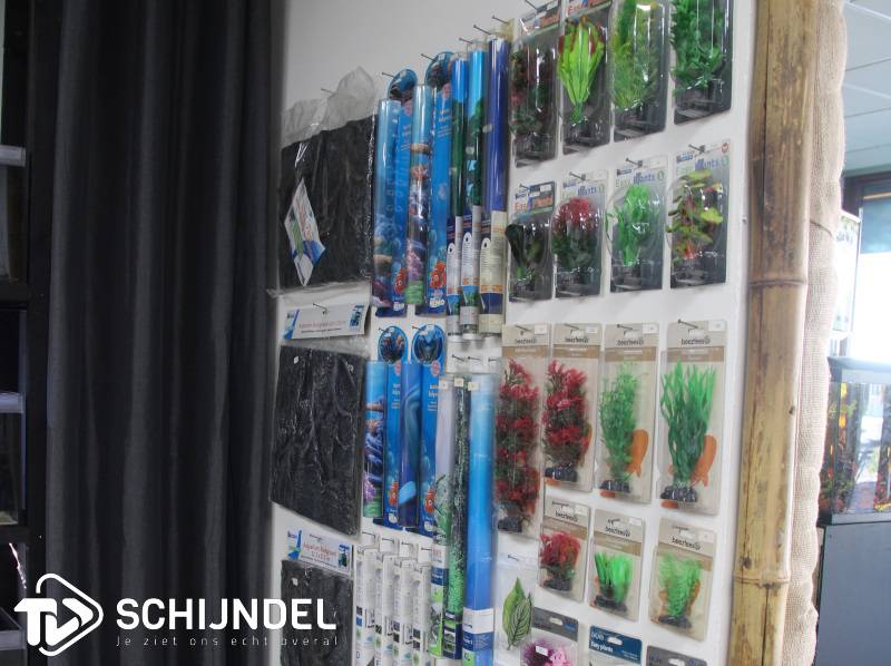 aquaschijndel3
