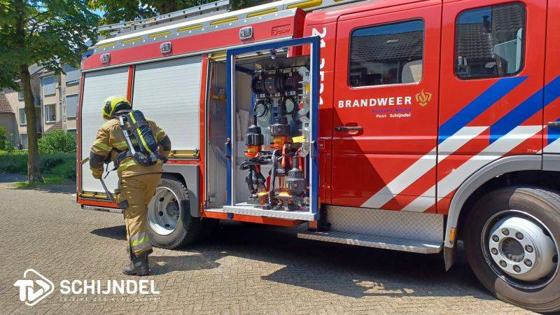 brandhaydn4