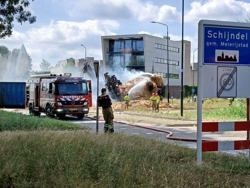 brand7
