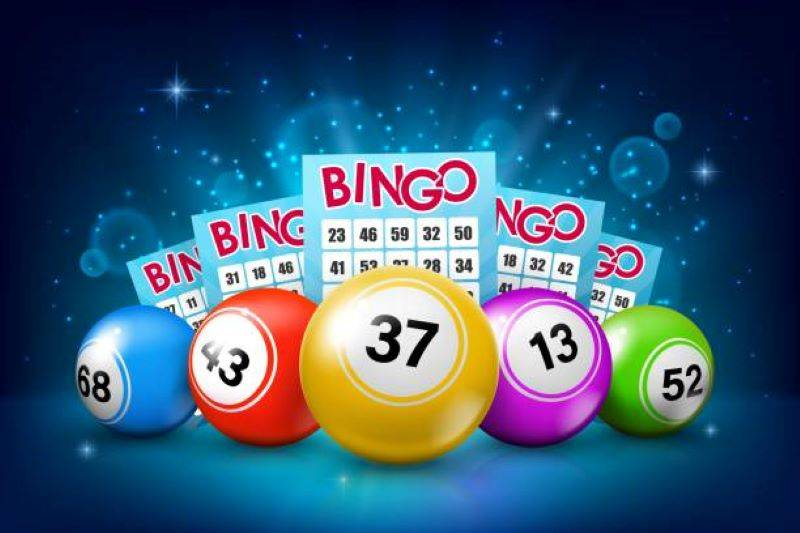 Bingo