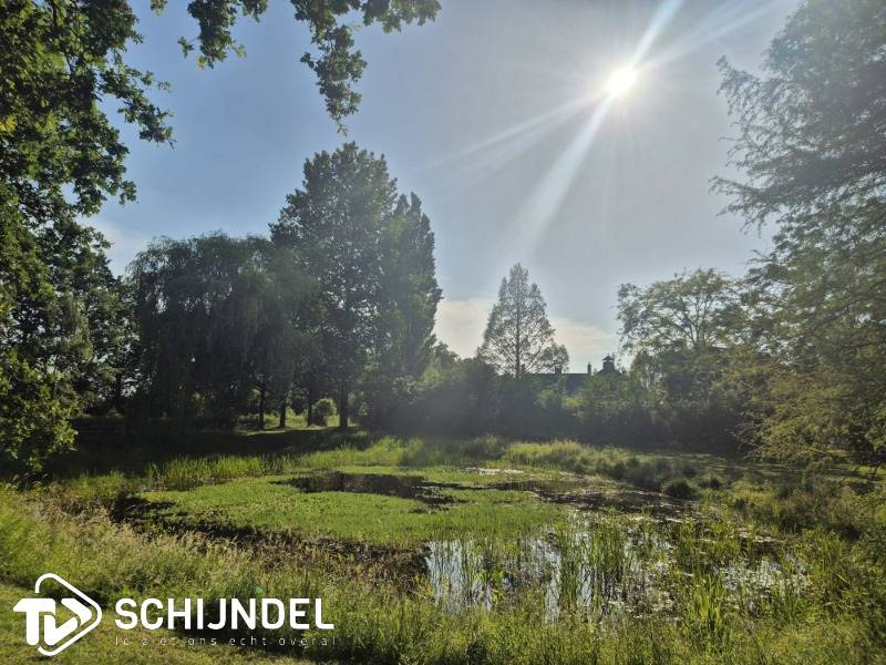 overig_park_natuur_zomer_zon_2026