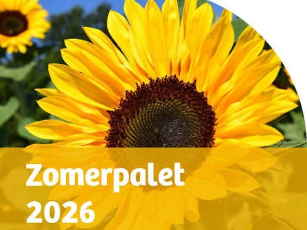 welzijn_meierij_zomerpalet_2026